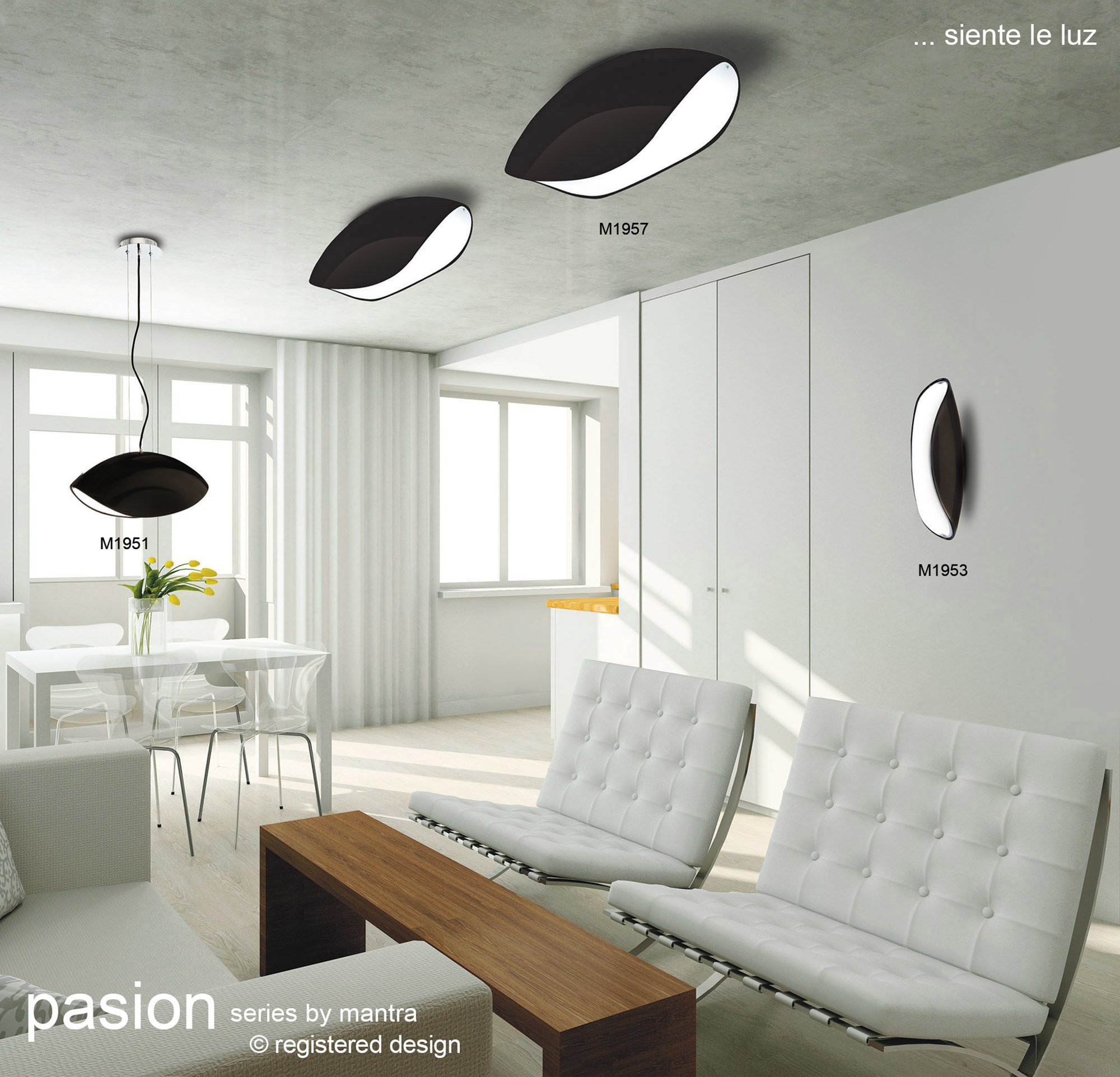 Pasion Gloss Black Ceiling Lights Mantra Single Pendant